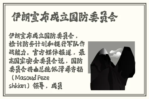 麻豆视频精品